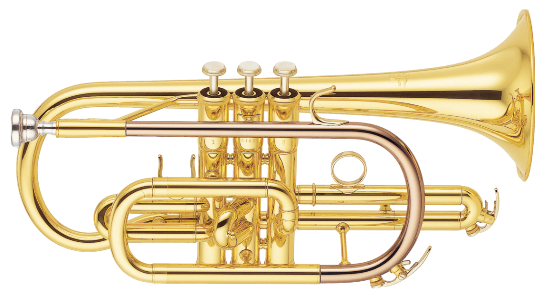 Cornet