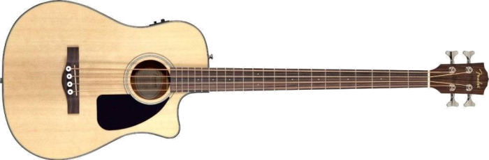 Acoustic Bass guitar