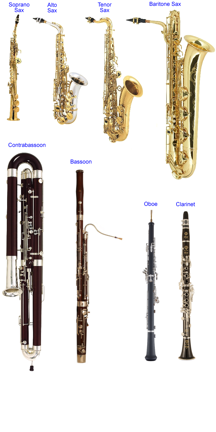 Reed Instruments