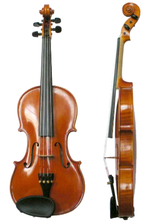 Violin